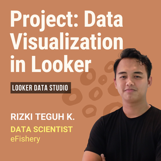 Project: Data Visualization in Looker Data Studio