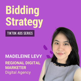 Optimization : Bidding Strategy